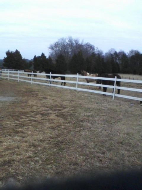 Visit GLC HORSE HAVEN FARM