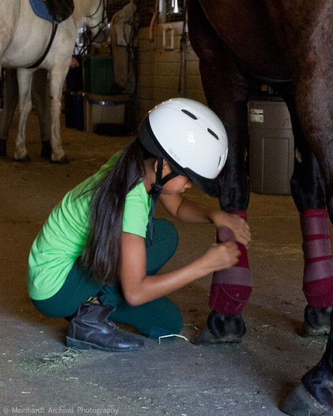 Visit Thornberry Stables, LLC