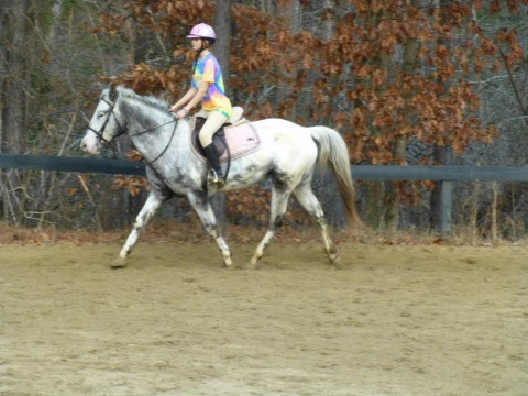 Visit Fox Pointe Farm Riding Camp, Girls 11-17