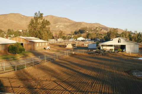 Visit winning ways ranch