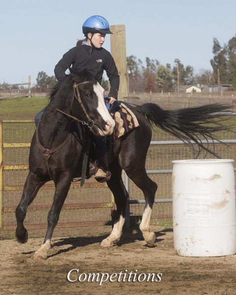 Visit RedBarn Riding Academy, Shelley Dunnigan