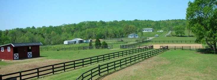 Visit Tail Race Farm