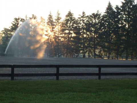 Visit Elkhorn Equine Boarding Facility