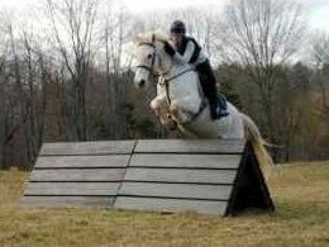 Visit High Point Equestrian Center