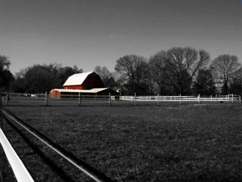 Visit MayBelle Stables