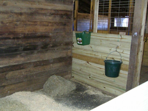 Visit Great Escape Stables