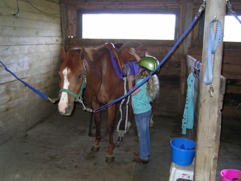 Visit Great Escape Stables