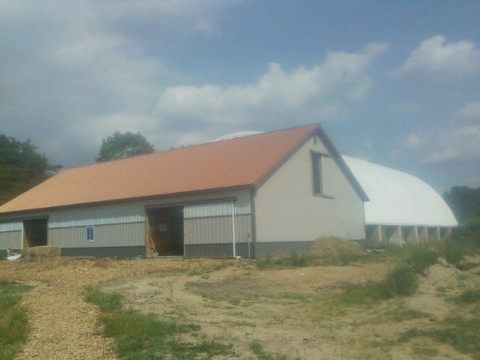 Visit Silver and Gold Stables