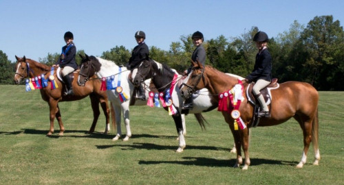 Visit JGS Riding