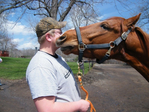 Visit MRC Stables