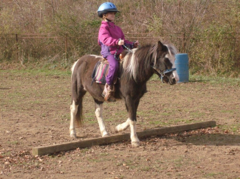 Visit angel springs stables