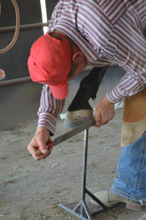 Visit Diamond G Farrier Service