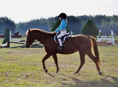 Visit Twin Oaks Stables