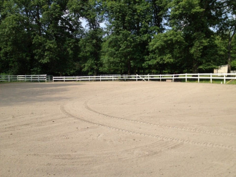 Visit Flying Hearts Farm