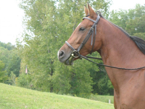 Visit Sand Hill Farm