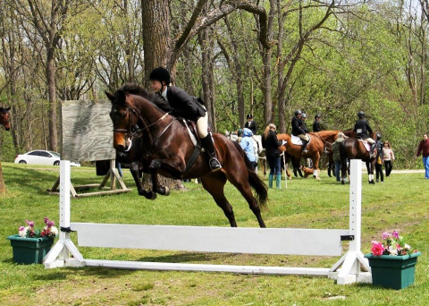 Visit Excalibur Horse Center - Kellyn Burtka