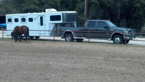 Visit A1 Horse Taxi