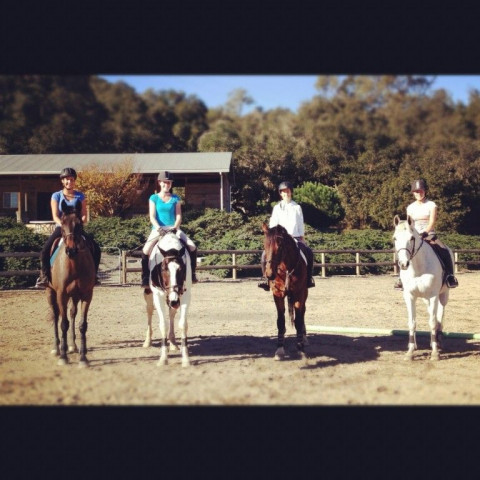 Visit AG Equestrian Training / Oak Park Boarding Facility