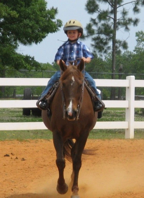 Visit The Brown Riding Academy