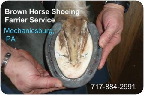 Visit Brown Horse Shoeing (Leslie Brown)