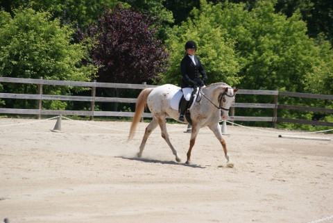 Visit Vaquero Training Center - Mike and Laura Marquez