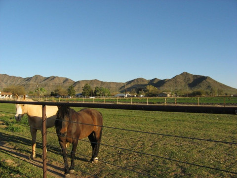 Visit Buena Vista Ranch