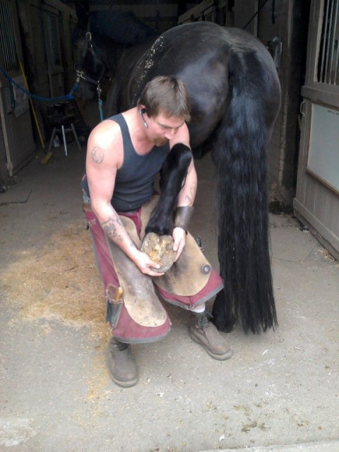 Visit Philip Smith, Sport Horse Shoeing, 503-863-7816