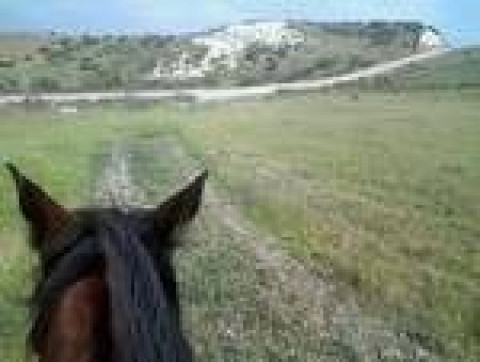 Visit Trail Rides In Simi Valley