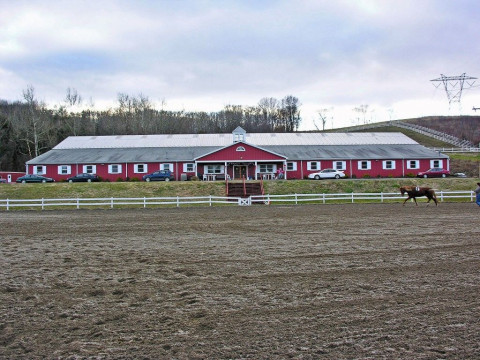 Visit SAddle Valley Farm