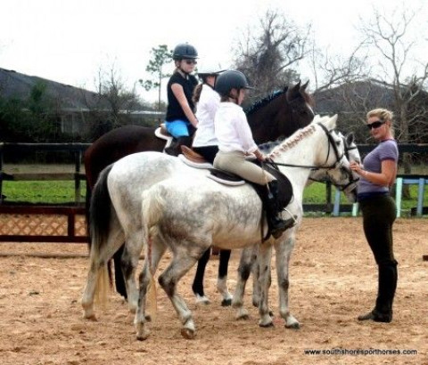 Visit South Shore Sport Horses Summer Camp