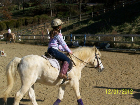 Visit Mountain Dell Equestrian