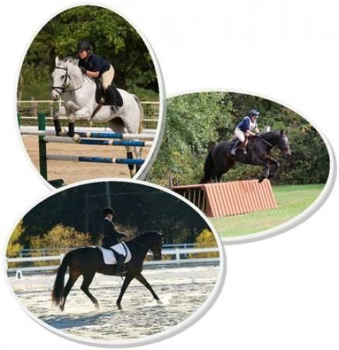 Visit Pick and Tuck Equestrian Center