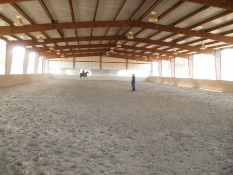 Visit Central Park Stables