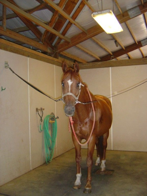 Visit Dig-A-Ditch Ranch