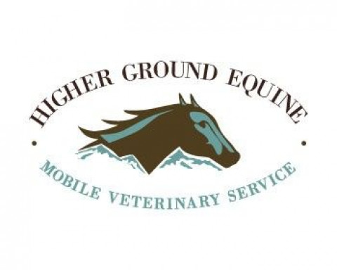 Visit Higher Ground Equine Mobile Veterinary Service