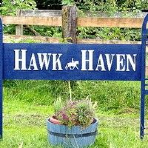 Visit HAWK HAVEN EQUESTRIAN CENTER