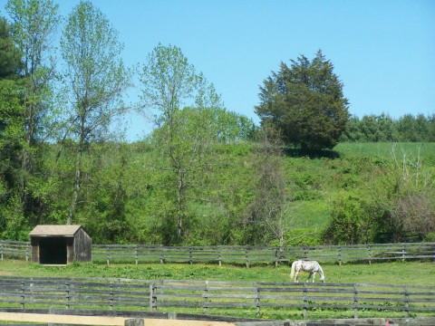 Visit Harford Furnace Equestrian Center