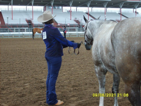 Visit Rebecca Raven of RCA Equestrian