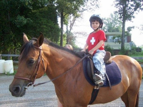 Visit Chesterfield Stables Horse Camp