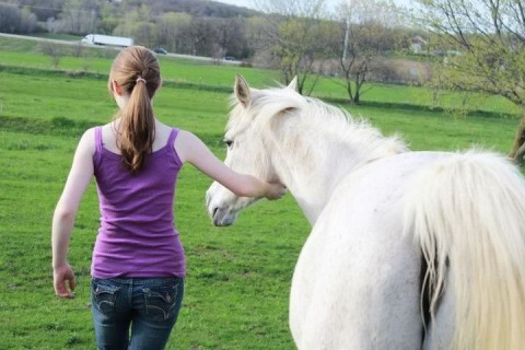Visit Interstate Horse Center