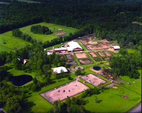 Visit If Only Farm Equestrian Center Summer Camp