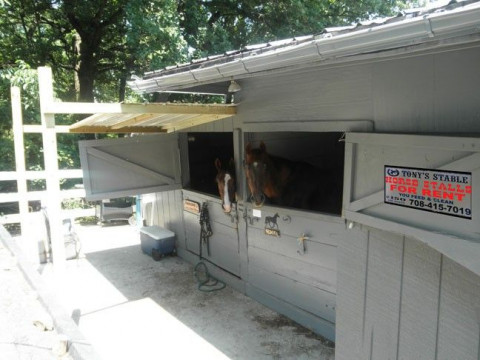 Visit Tony's Stables