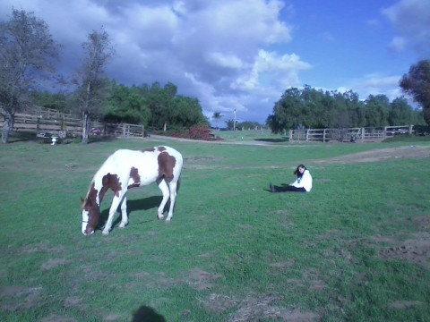 Visit Horse Spirit Ranch