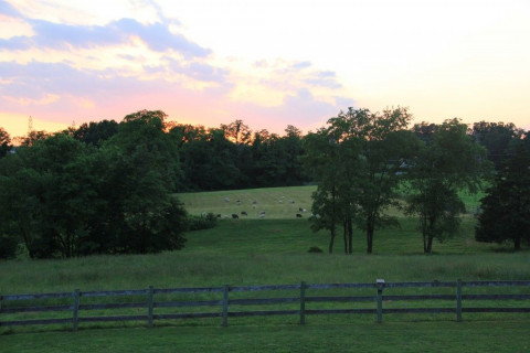 Visit Cedarland farm