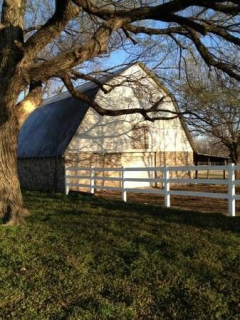 Visit The Stables at Shady Creek
