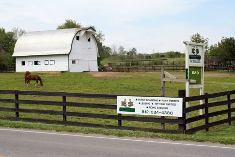 Visit Ellington Stables