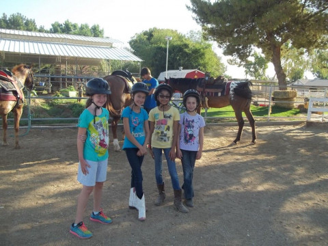 Visit Kings Victory Farms