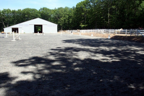 Visit Silver Lining Stables