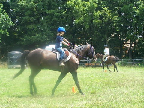 Visit Southport Equestrian Center