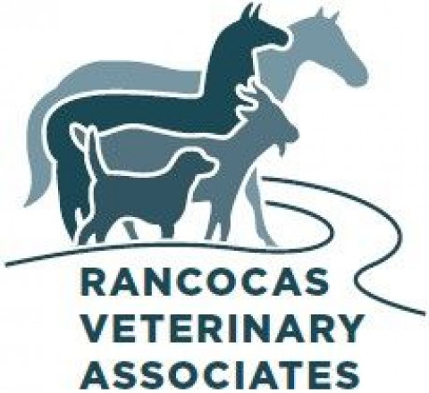 Visit Rancocas Veterinary Associates